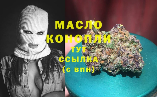 шишки Слюдянка