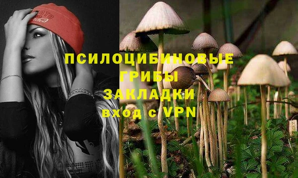 МДПВ Вяземский