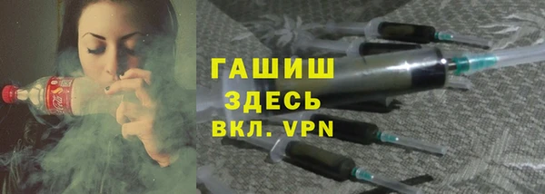 шишки Слюдянка