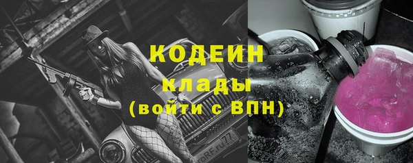 МДПВ Вяземский