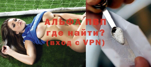 МДПВ Вяземский