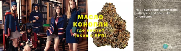 МДПВ Вяземский