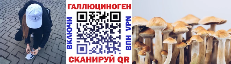 Галлюциногенные грибы Magic Shrooms  даркнет официальный сайт  Архангельск 